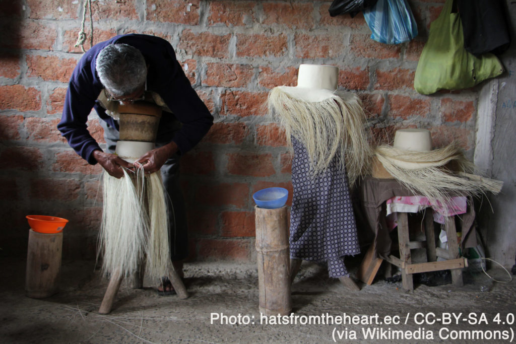 パナマ帽体編み職人の作業風景